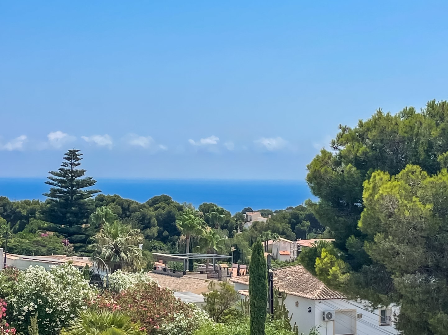 Verhoogd panoramisch uitzicht op de Middellandse Zee vanuit Balcón al Mar, omringd door pijnbomen, palmen en traditionele daken in Jávea.