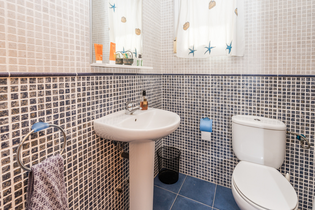 Badkamer met tweekleurige mozaïekwandtegels in blauw en beige, een witte kolomwastafel en natuurlijk licht via een raam met zeemotieven.