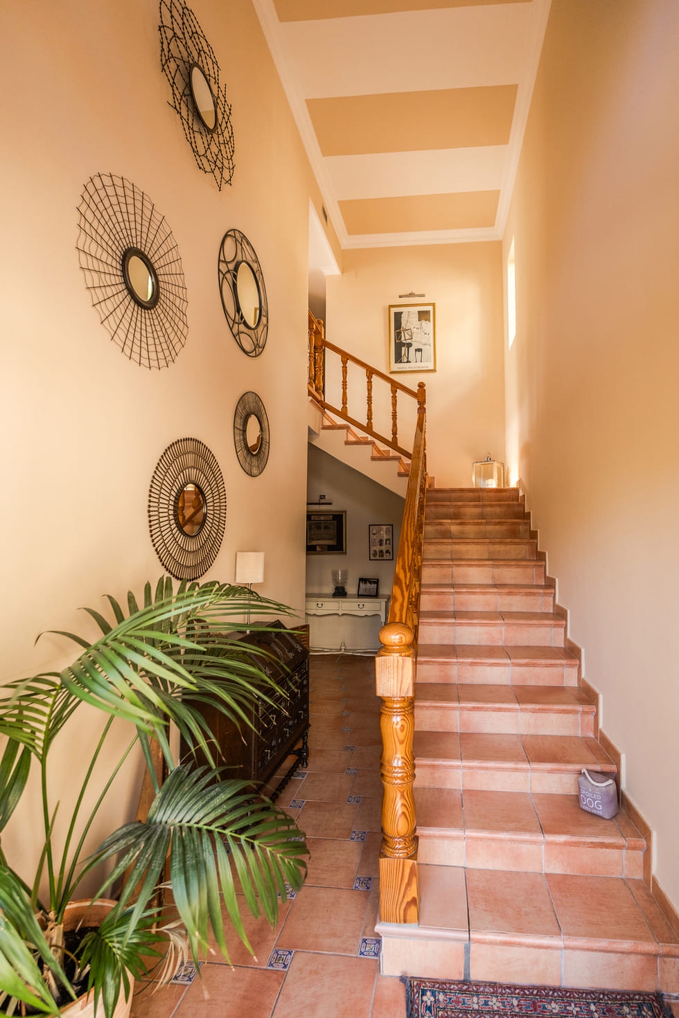 Entreehal met een terracotta tegelstrap, houten leuning, decoratieve draadspiegels aan de muur en een gestreept plafond.