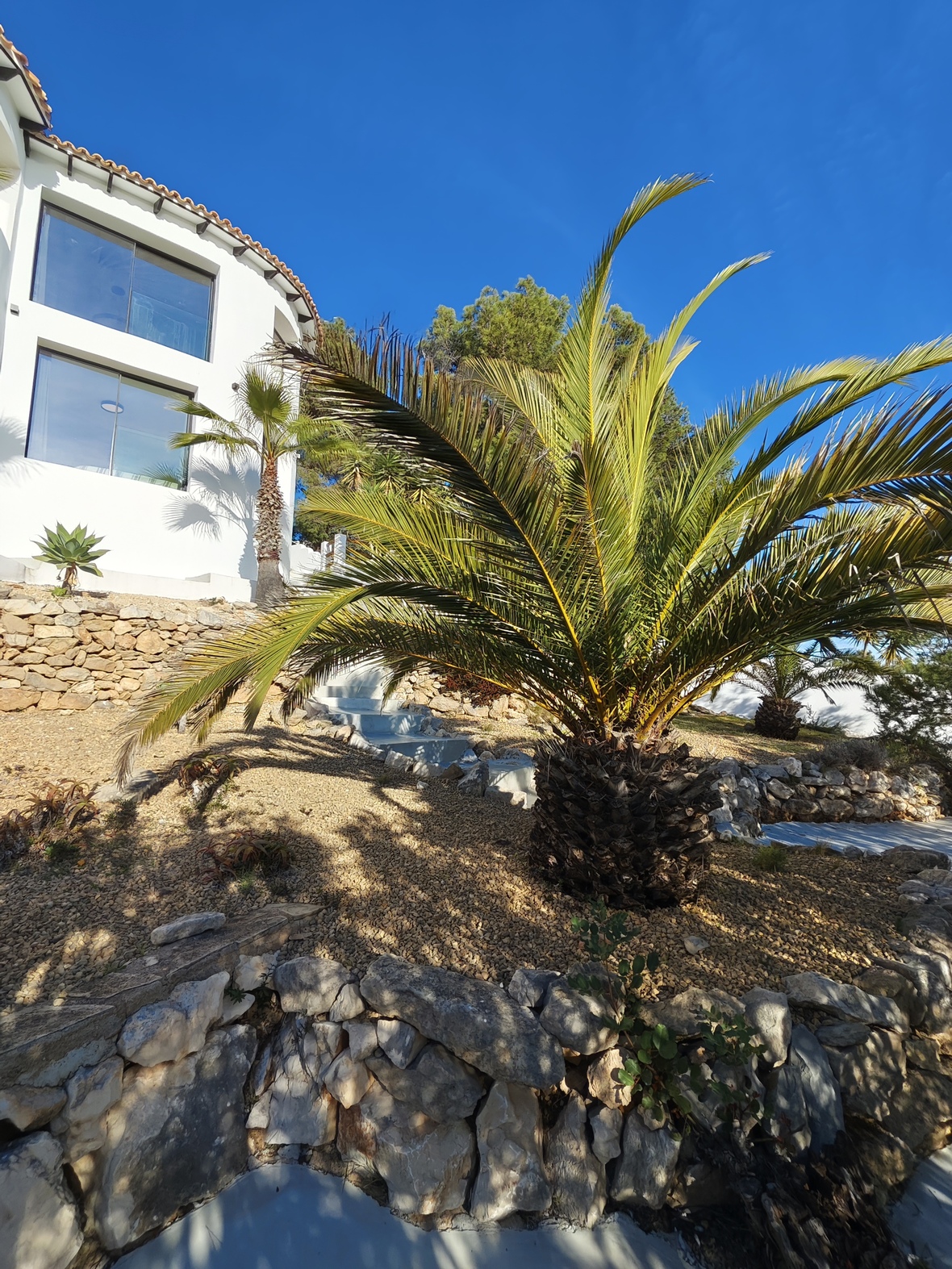 Mediterrane tuin met natuurstenen muren, grindpaden en volwassen palmbomen bij een witte villa met grote raampartijen.