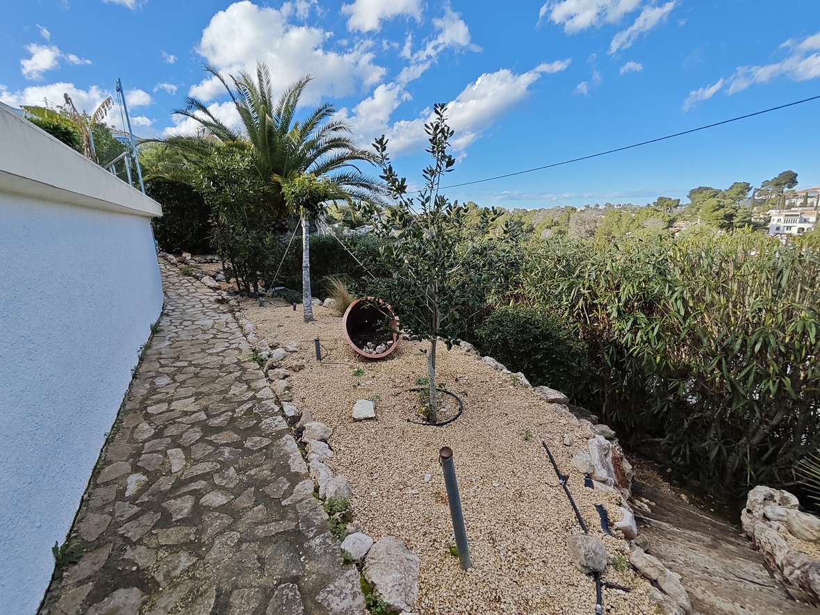Natuurstenen wandelpad langs een mediterrane tuin met grindbedden, jonge olijfbomen en palmen onder een helderblauwe lucht.