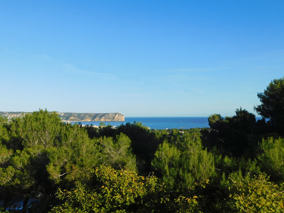Panoramisch uitzicht op de Middellandse Zee en de kaap van San Antonio over een weelderig mediterraan pijnbomenbos.