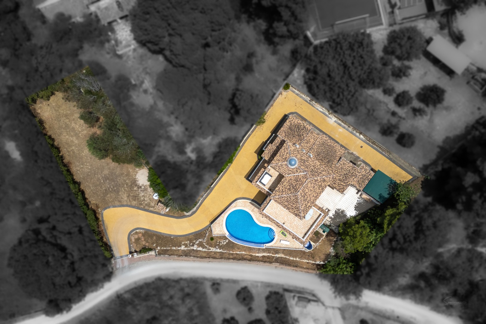 Bovenaanzicht van de villa met de niervormige pool, het dak met centrale koepel en de lange privé-oprit die de indeling van het perceel accentueert.