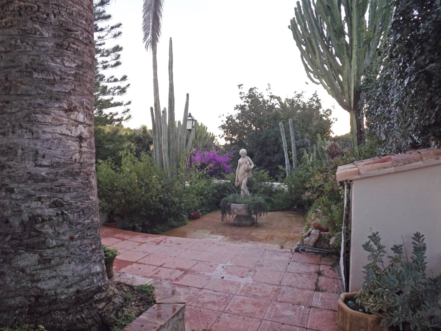 Mediterrane tuin met terracotta-stijl tegels, een centraal klassiek beeldhouwwerk en volwassen beplanting met zuilcactussen en palmbomen.