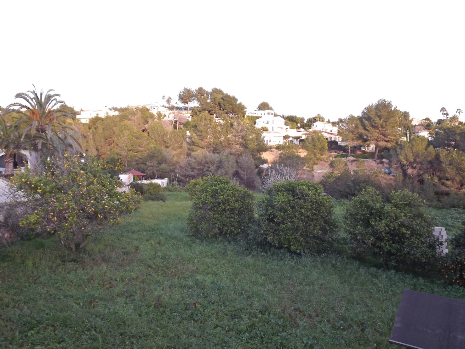 Uitzicht op het uitgestrekte perceel met fruitbomen en mediterrane beplanting, uitkijkend over de residentiële heuvels en omliggende pijnbomen.