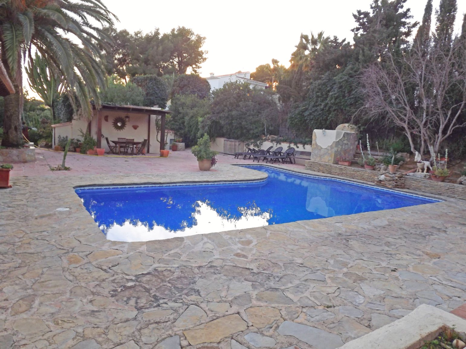 Zwembad van 12x5m met een ruim terras van natuursteen, een overdekte barbecueplaats en een volgroeide mediterrane tuin.