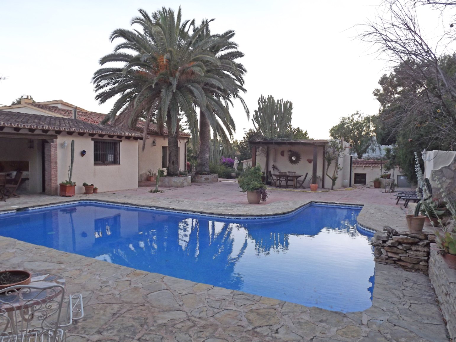 Zwembad van 12x5m omgeven door een natuurstenen terras, volwassen palmbomen en een overdekte barbecueplaats in een mediterrane setting.