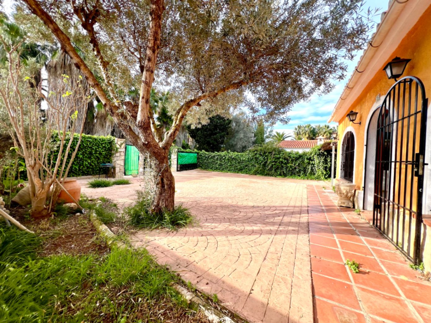 Bestraat buitenterras met waaiermotief, voorzien van een volwassen olijfboom en een mediterrane gevel met karakteristieke boogvensters en smeedijzeren hekwerk.
