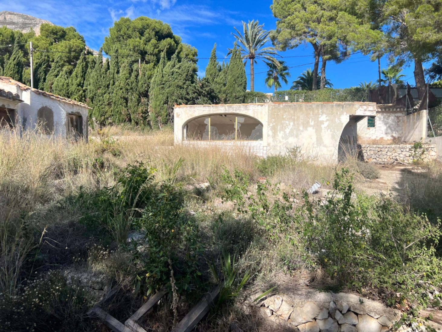 Buitenaanzicht van een te renoveren bijgebouw met een grote boogvenster, omgeven door volgroeide pijnbomen en mediterrane beplanting.