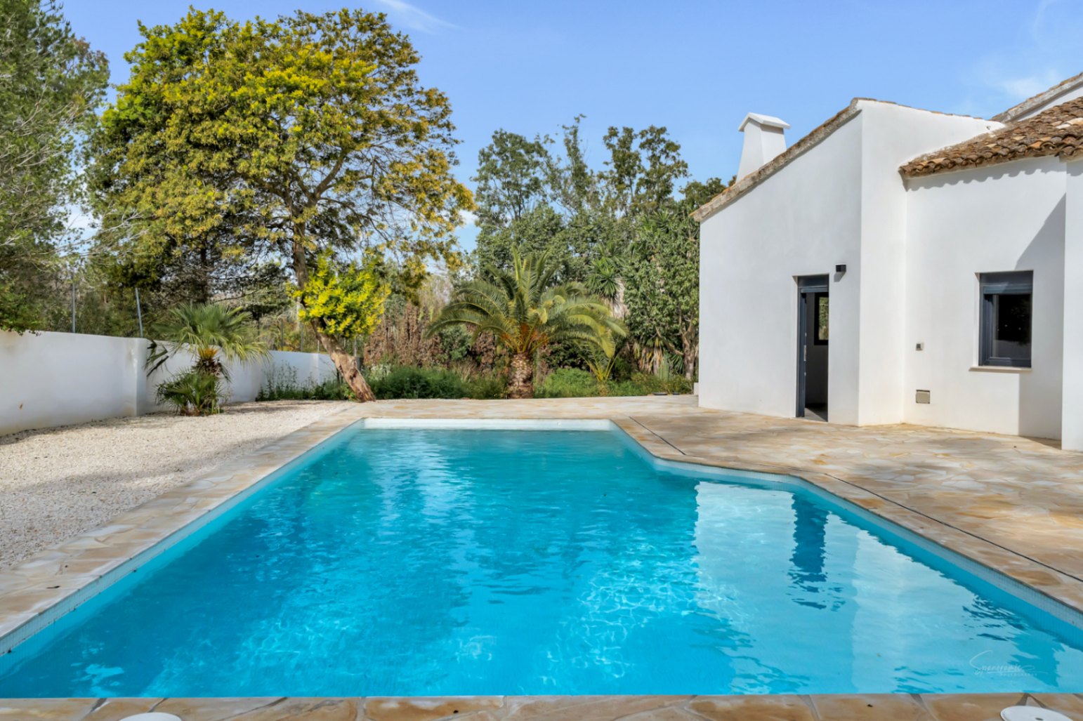 Buitenzwembad omgeven door een terras van natuursteen en witte muren, gelegen in een mediterrane tuin met palmbomen en volwassen beplanting.