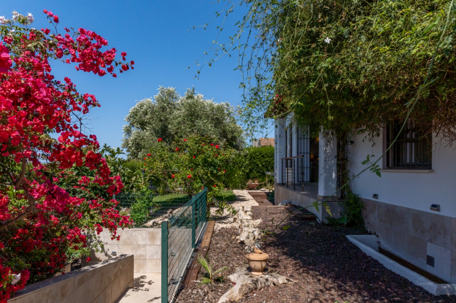 Buitenaanzicht van de mediterrane tuin met bloeiende bougainville, grindpaden en weelderige beplanting langs de met natuursteen beklede gevel van de villa.