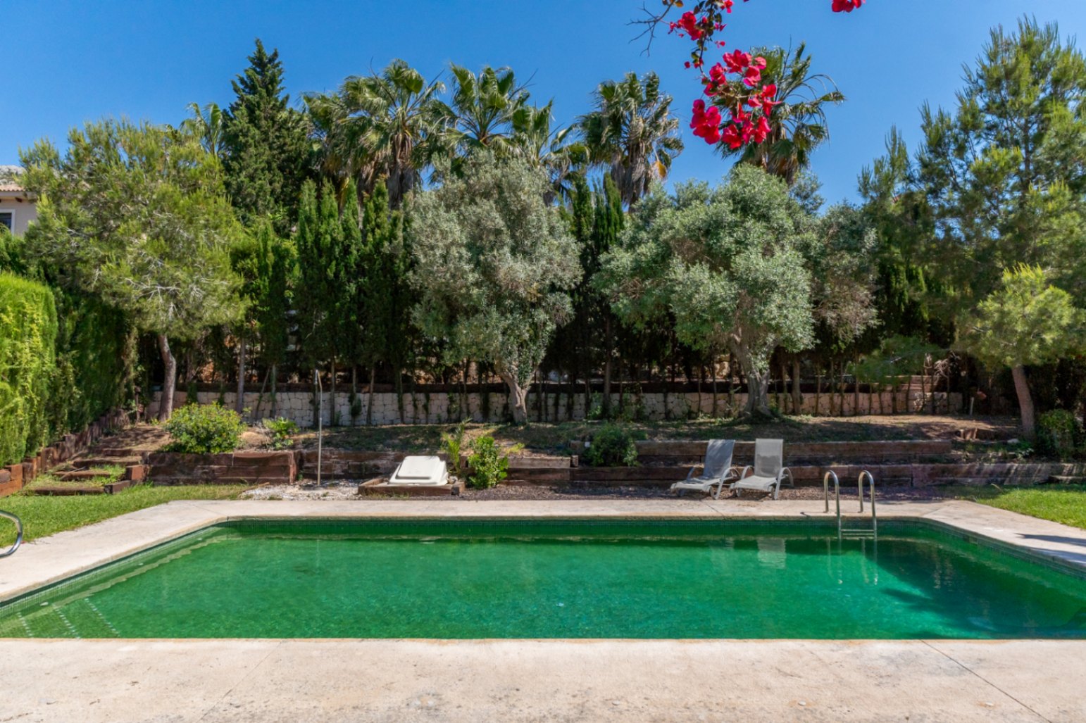 Buitenzwembad omgeven door een volgroeide mediterrane tuin met palmbomen en olijfbomen. De ruimte is voorzien van natuurstenen muren en een zonneterras.