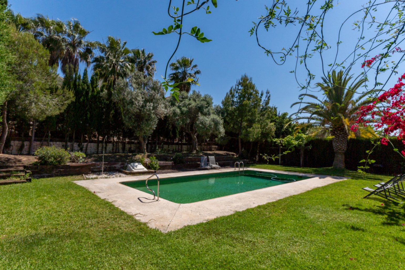 Rechthoekig buitenzwembad omgeven door een groen gazon en een mediterrane tuin met palmbomen, dennen en kleurrijke bougainville.
