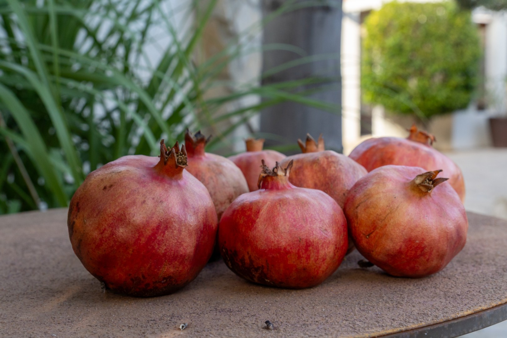 Detailopname van verse granaatappels op een rustieke tafel, die de mediterrane oogst en de natuurlijke sfeer van de tuin van de villa benadrukt.