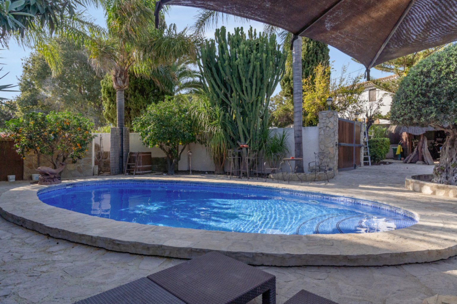 Ovaal zwembad met blauwe mozaïektegels, omgeven door natuurstenen bestrating en een mediterrane tuin met palmbomen, cactussen en citrusbomen.
