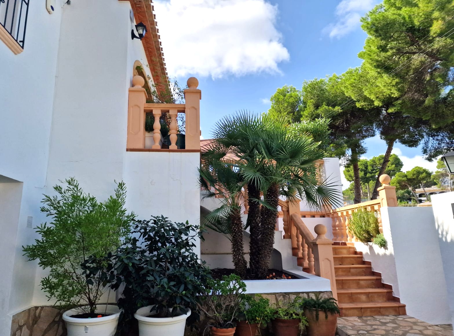 Buitentrap met terracotta balustrades naar de bovenverdieping, met een centrale palmboom en diverse mediterrane planten in potten.