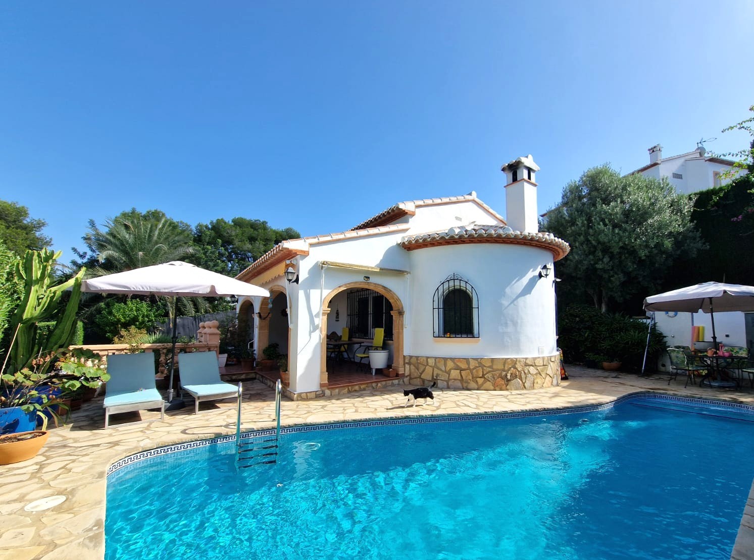 Exterieur van de villa met een halfronde gevel, natuurstenen terras en privézwembad omgeven door mediterrane beplanting in Toscal.