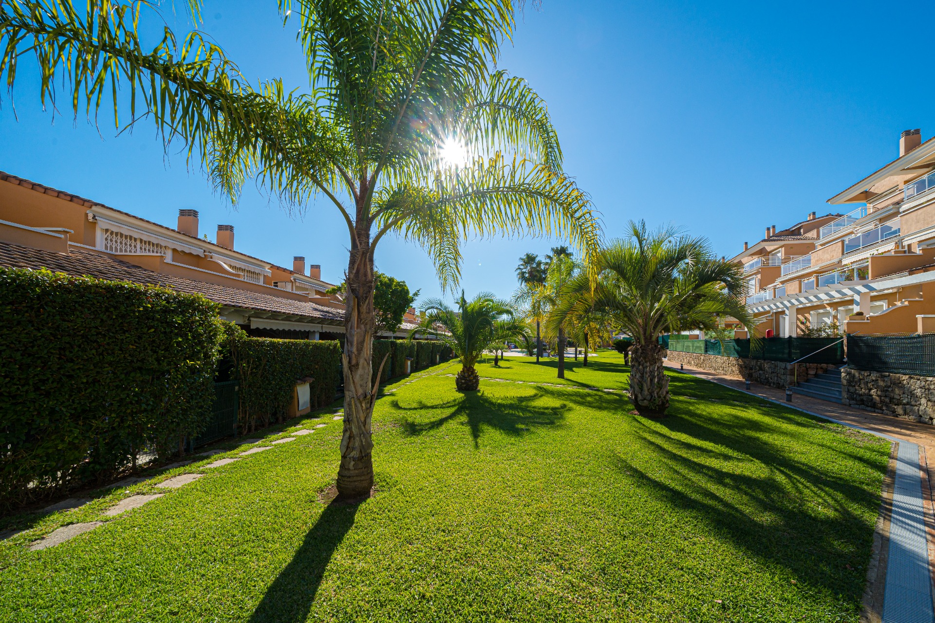 Gemeenschappelijke tuinen met een strak gazon en volwassen palmbomen, gelegen tussen de mediterrane appartementencomplexen van Moreras del Saladar.
