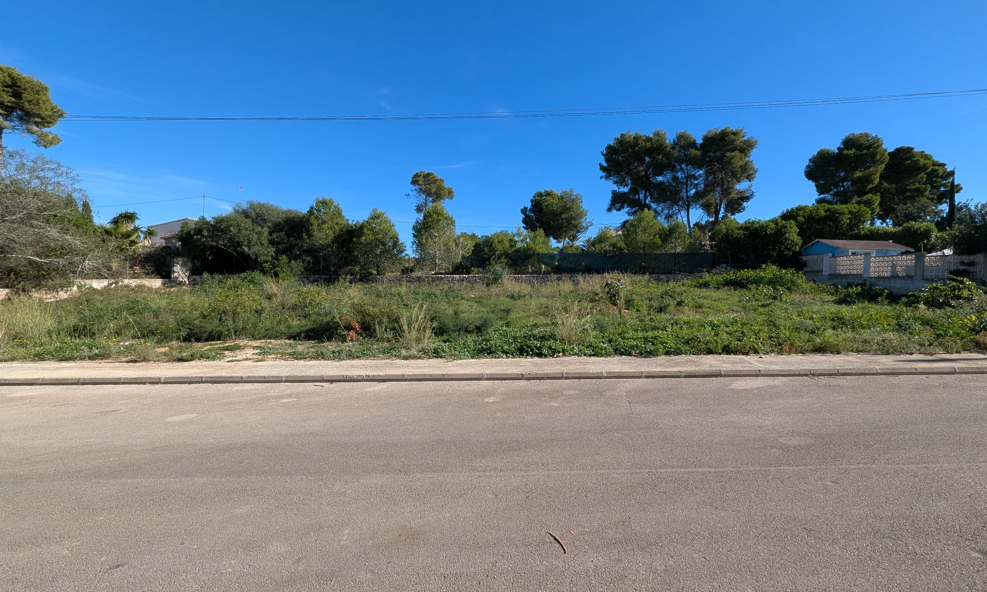 Vlak bouwperceel van 889 m² in Pinosol, Jávea, met een brede straatzijde, omringende pijnbomen en een egaal terrein dat direct bebouwd kan worden.