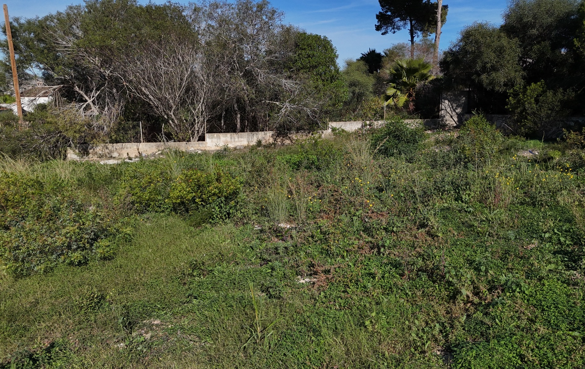 Zicht op het vlakke bouwperceel van 889 m² in Pinosol, met natuurlijke begroeiing en de bestaande betonnen omheining onder een heldere hemel.