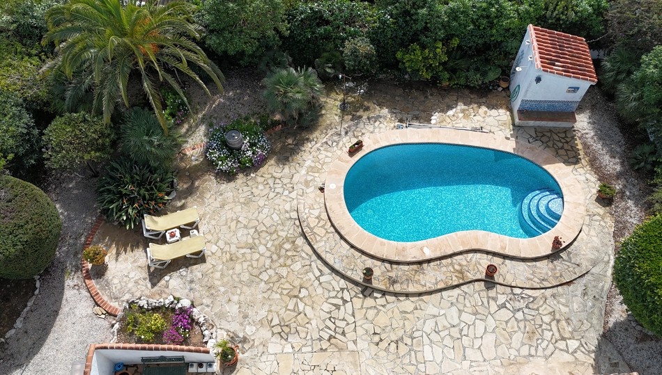 Bovenaanzicht van een nierenvormig zwembad met blauwe mozaïektegels, omgeven door een terras van natuursteen en een volgroeide mediterrane tuin met palmbomen.