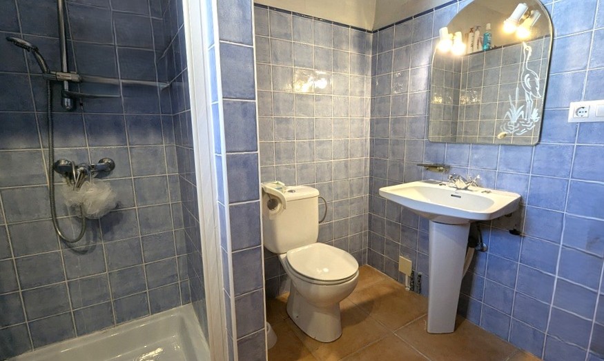 Functionele badkamer met blauwe wandtegels, een inloopdouche, een wastafel op zuil en een boogvormige spiegel met decoratieve etsing en geïntegreerde verlichting.