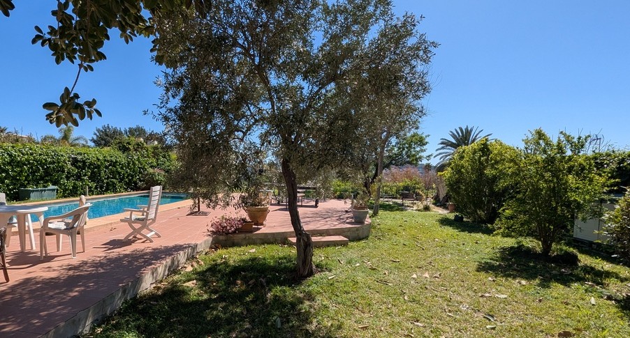 Privézwembad met een terras van terracotta tegels, een gazon met volwassen olijfbomen en dichte mediterrane beplanting rondom.