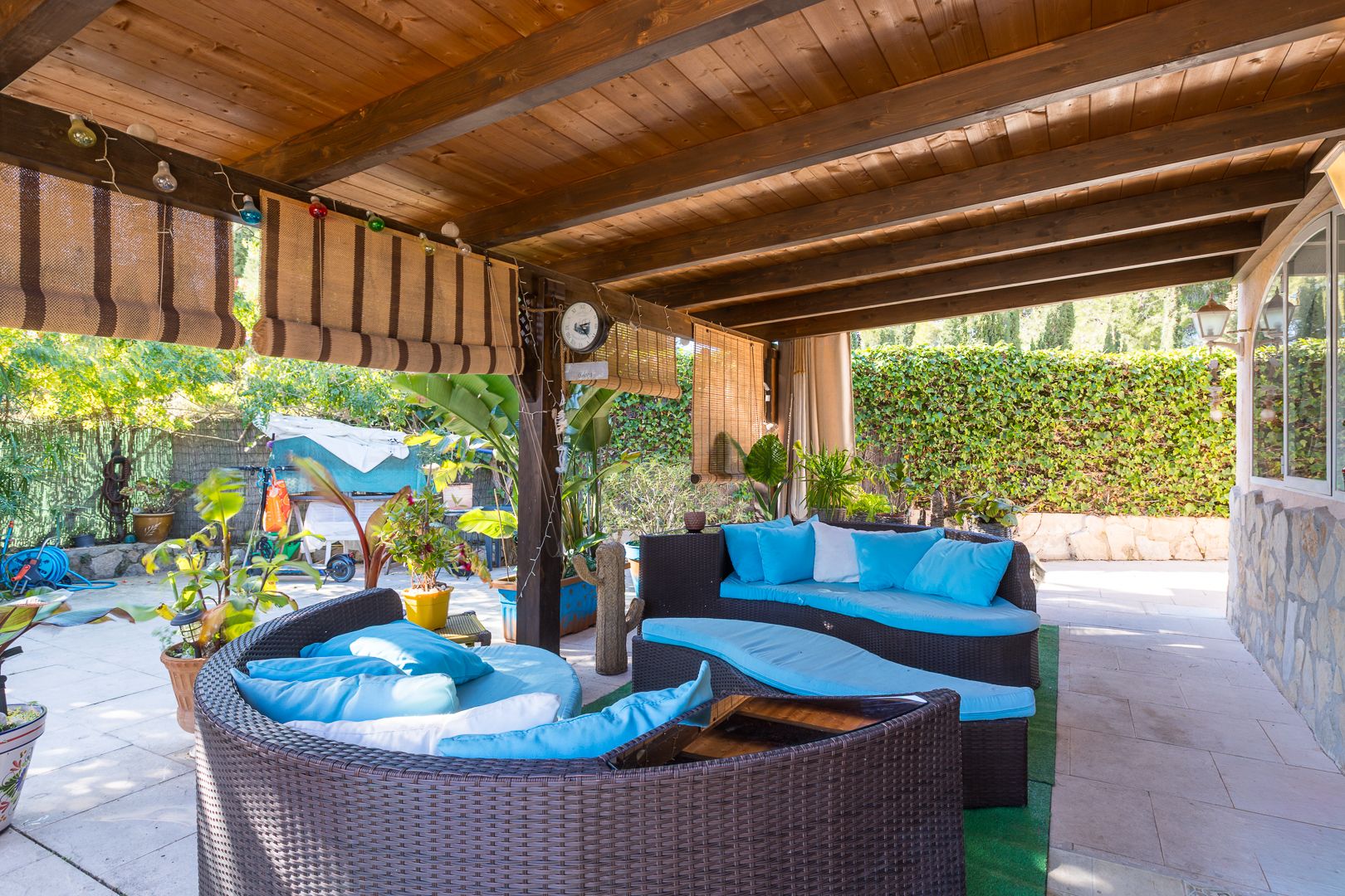 Overdekt terras met een donkerhouten pergola, halfronde rotan banken met blauwe kussens en bamboe rolgordijnen grenzend aan de groene tuin.