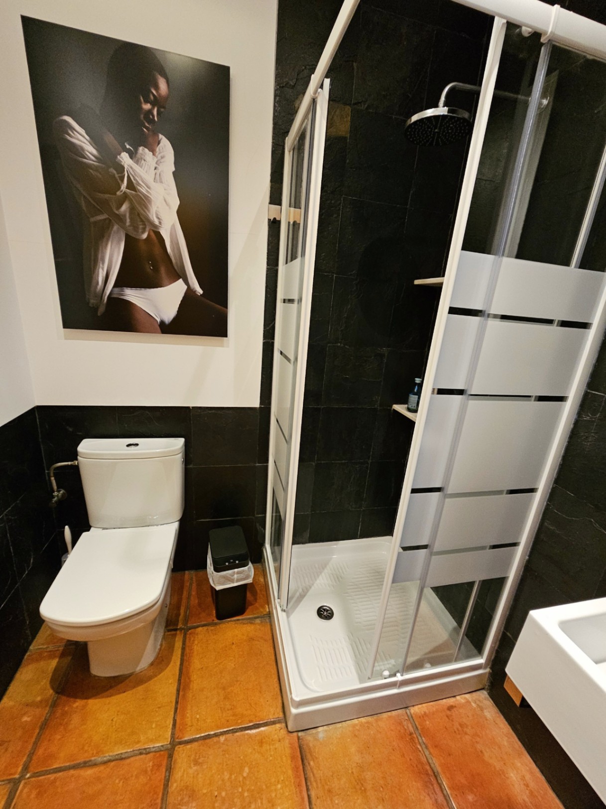 Badkamer met glazen douchecabine, donkere natuurstenen wanden en handgemaakte terracotta vloertegels. Moderne witte elementen zorgen voor een strak contrast.