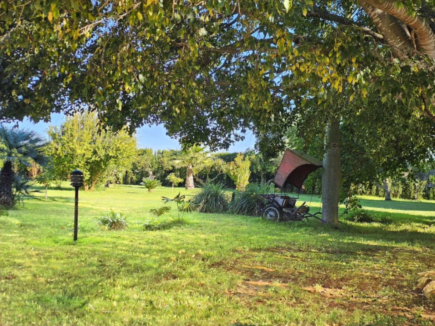 Uitgestrekte, verzorgde tuin met gazon, volwassen bomen en een decoratieve koets in de schaduw, omgeven door hagen voor volledige privacy.