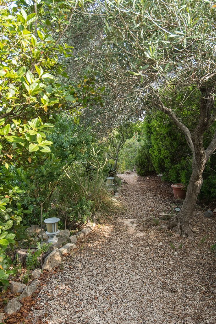 Een slingerend grindpad door een volwassen mediterrane tuin, omzoomd door olijfbomen, dichte beplanting en subtiele buitenverlichting.