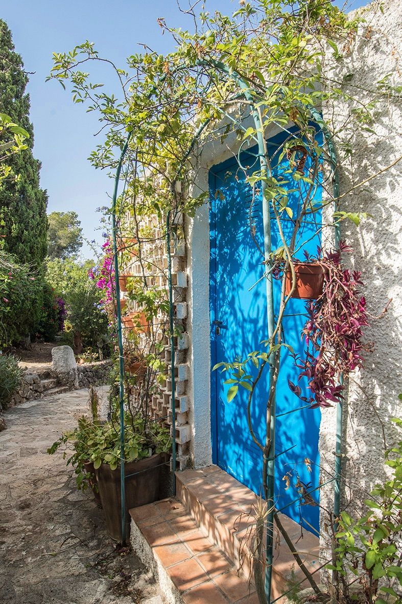Opvallende blauwe deur omlijst door een metalen boog met klimplanten, grenzend aan een stenen pad in de mediterrane tuin.