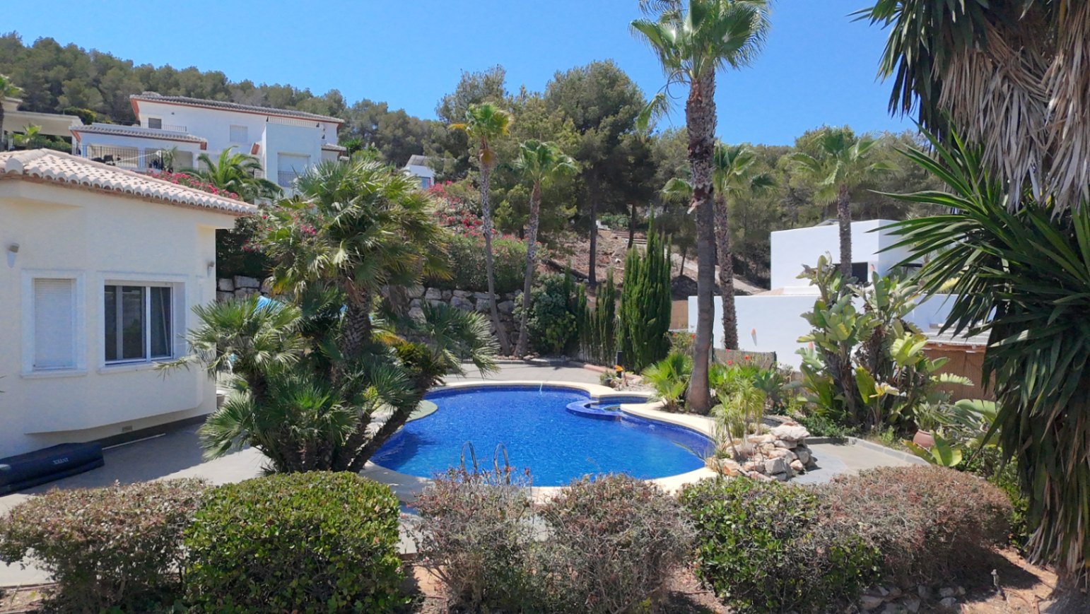 Niervormig zwembad in een aangelegde mediterrane tuin met volwassen palmbomen en rotsen, grenzend aan de witte gevel van de villa en beboste heuvels.